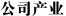 公司产业